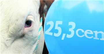 Der Preis geht weiter in den Keller: Deutschlands größte Molkerei, die DMK, zahlt den Bauern im März 25,3 Cent pro Liter. 