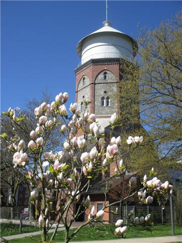 Der Schwoonsche Wasserturm in Lehe steht eingebettet in den Stadtpark an der Hafenstraße, als Wahrzeichen des Klushof-Quartiers. 