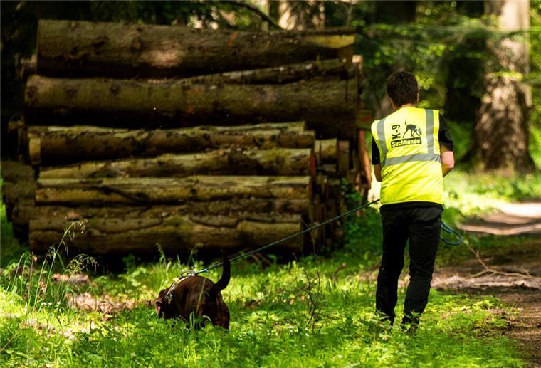 Ein Suchhund der K-9 Suchhunde Elbe-Weser beim Einsatz auf der Suche nach einem vermissten Jungen.