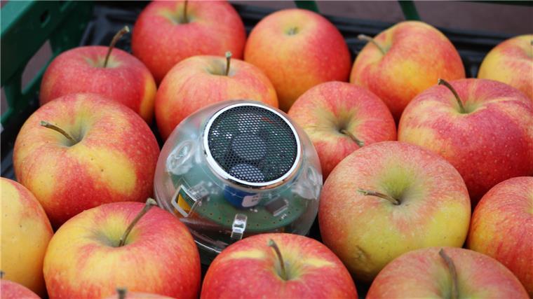 Wenn ein digitales Früchtchen zum Obstretter wird - Nachhaltigkeit das Ziel