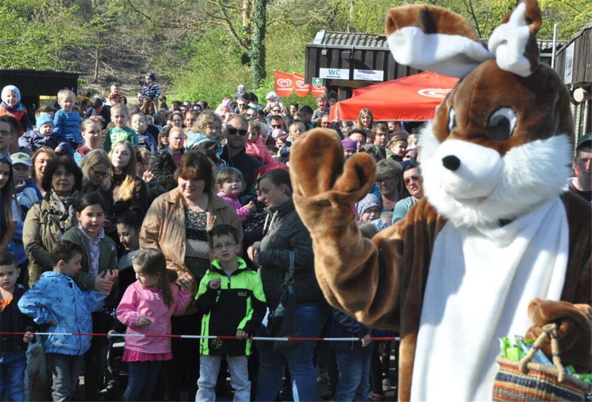 Ostern in und um Cuxhaven: 13 Tipps für die ganze Familie Der Spielpark Wingst lädt zur größten Ostereiersuche der Region ein: 500 Eier werden hier versteckt.