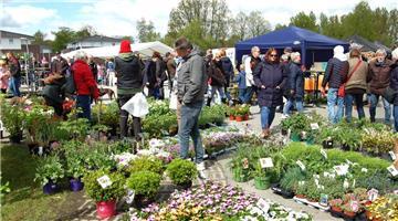 Staudenmarkt in Hagen