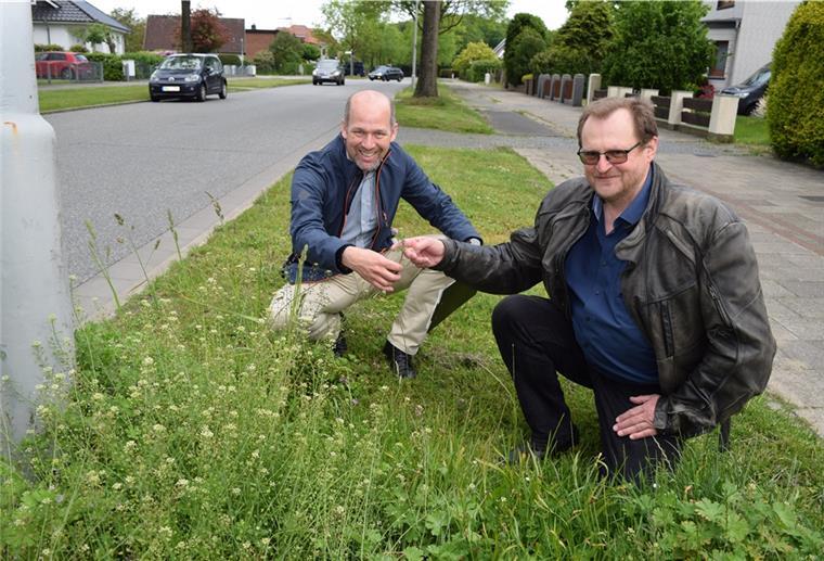 Der stellvertretende Gartenbauamtsleiter Kester Kirchwehm (links) und Dezernent Dr. Ulf Eversberg präsentieren eine Wildkräuterfläche an der Wurster Straße. 