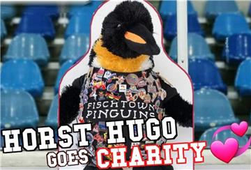 Der Stoffpinguin Horst Hugo hat als Fan und Zuschauer sogar einen eigenen Papp-Aufsteller in der Eisarena Bremerhaven erhalten.