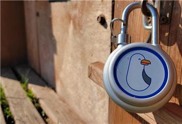 Digitales Schloss am Strandkorb mit Möwenmotiv