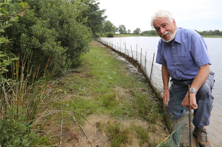 Projekt: Der Wollingster See wird noch ein Stück natürlicher Der Strandling sieht fast wie Rasen aus: BUND-Experte Dr. Eike Rachor zeigt einen der Standorte am See, die weiter aufgewertet werden sollen.