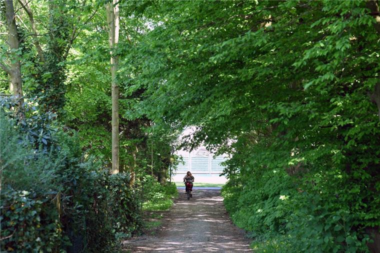 Der Streit zwischen der Stadt Bremerhaven und der Bürgerinitiative Meergestrüpp geht in die nächste Runde. 