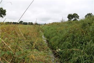 Der Ströhengraben fließt bei Kirchwistedt-Ahe in die Ahe – ein Bach von höchster Wassergüte. In der Ferne ist die Biogas-Anlage zu sehen.