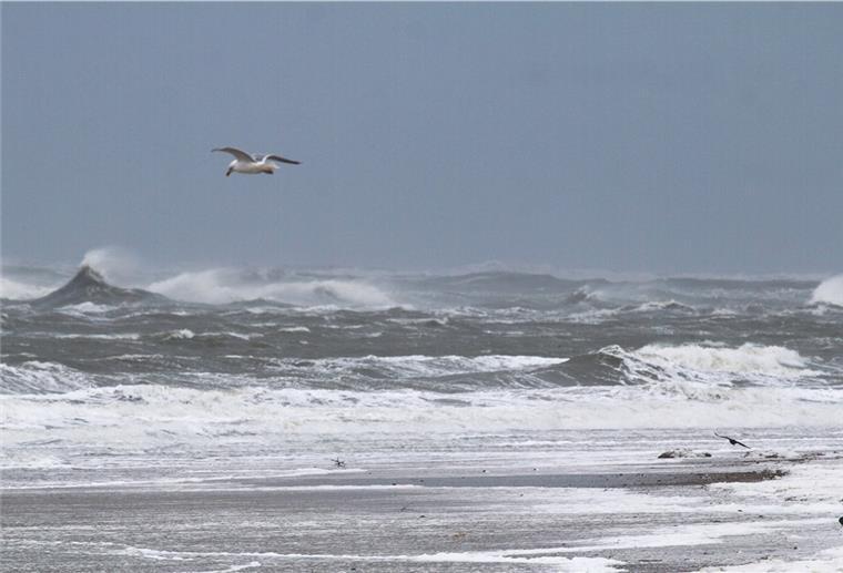 Der Sturm hat, nach ersten Einschätzungen, die Nordseeküste nicht so stark betroffen, wie befürchtet.