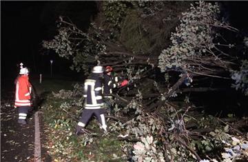 Der Sturm sorgte schon in der Nacht für etliche umgestürzte Bäume. Feuerwehrleute waren zum Teil im Dauereinsatz, um Gefahrenstellen zu beseitigen.