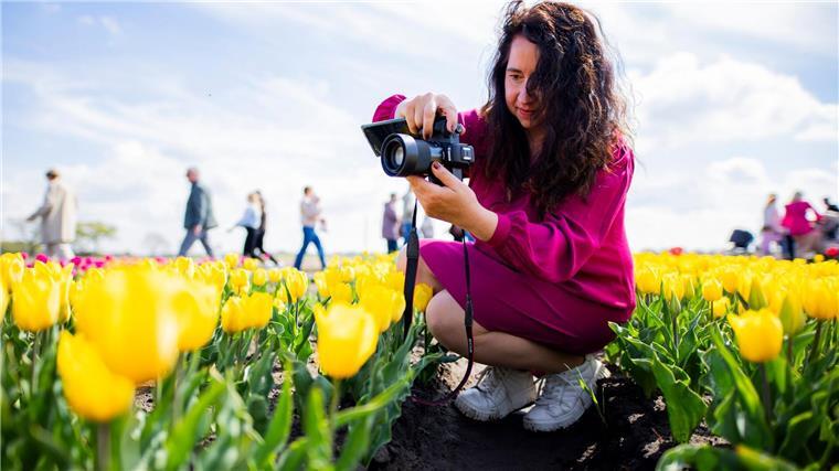Farbenmeer im Norden: Millionen Tulpen locken Tausende Gäste Der Tag des offenen Tulpenfeldes zieht Tausende Besucher an.