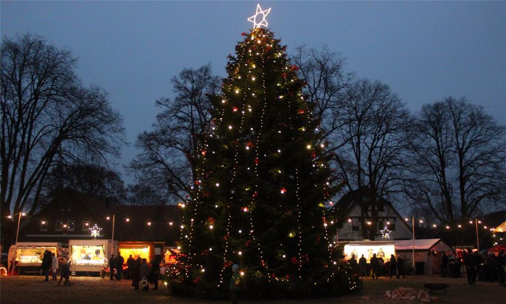 Der Tannenbaum ist schön beleuchtet.