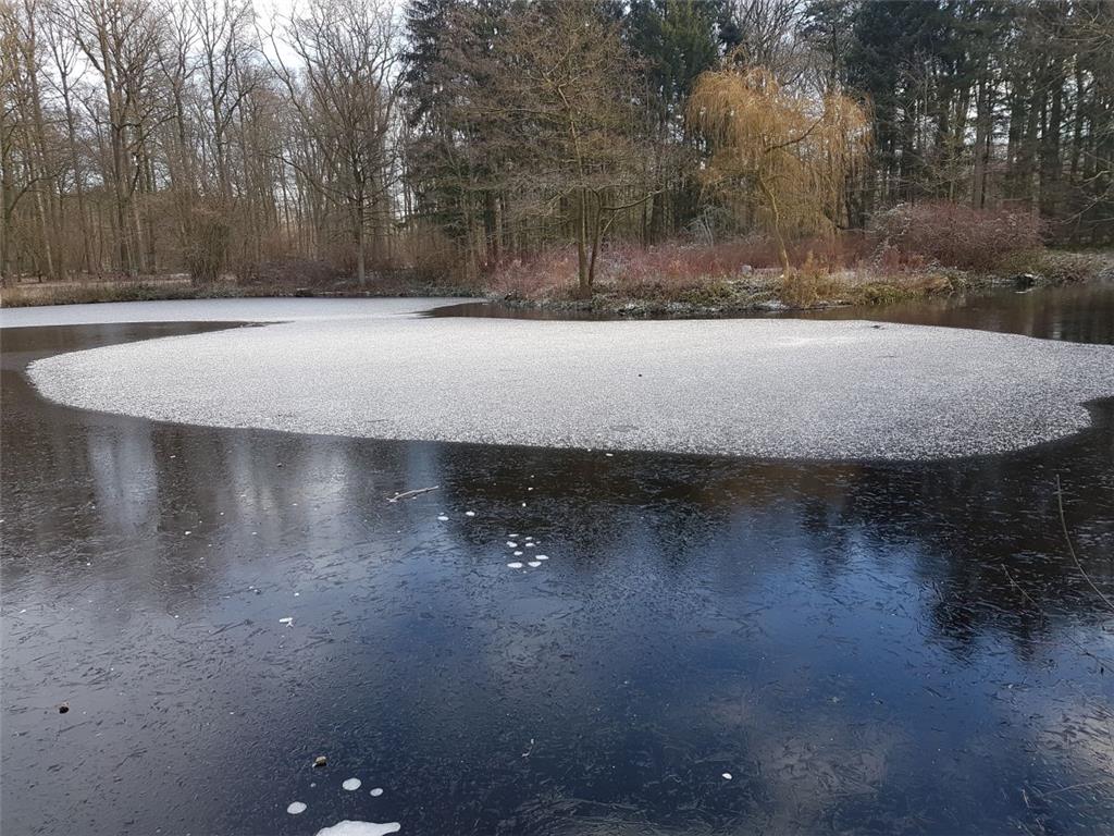 Der Teich im Bürgerpark Bremerhaven war im Januar und Februar an mehreren Tagen ...