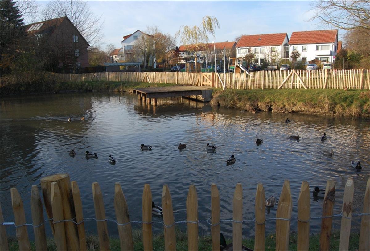 Der Teich ist aus seinem Dornröschenschlaf erweckt und neu gestaltet worden. Es kam eine Steganlage dazu. Aus Sicherheitsgründen musste aber ein Zaun um den Teich gezogen werden.