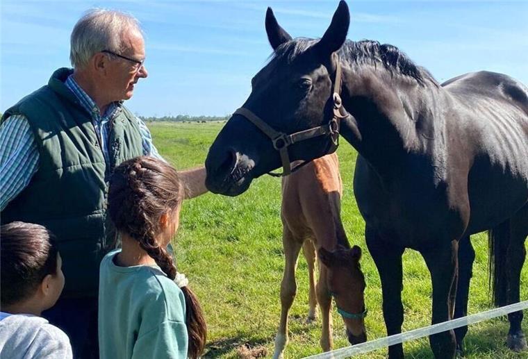 Cuxhavener Tierhalter kämpft um Wolfszaun Der Tierhalter Gerhard von Holten möchte seine Weidetiere besser vor dem Wolf schützen.