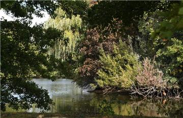 Der Tietjensee in Schwanewede soll leergepumpt werden. Die Polizei hofft, dort die Leiche einer verschwundenen Frau zu finden.