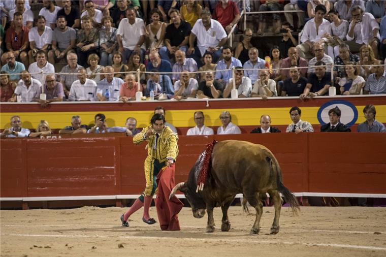 Erstmals seit 2017 wieder Stierkampf auf Mallorca Der Torero Morante de la Puebla hält in der Arena sein Schwert, um einen Stier zu töten.