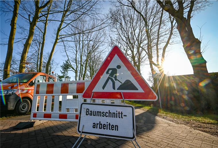 Wehdel: Am Friedhof fallen weitere Buchen Der ursprünglich angestrebte Heckencharakter sei nicht mehr gegeben, sagt die Gemeinde Schiffdorf und fällt weitere Buchen am Friedhof in Wehdel.