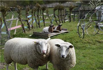 Der Verein Kinder- und Jugendfarm ist froh, dass für die Unterhaltung des Geländes und die Versorgung der Tiere noch genug Geld vorhanden ist.