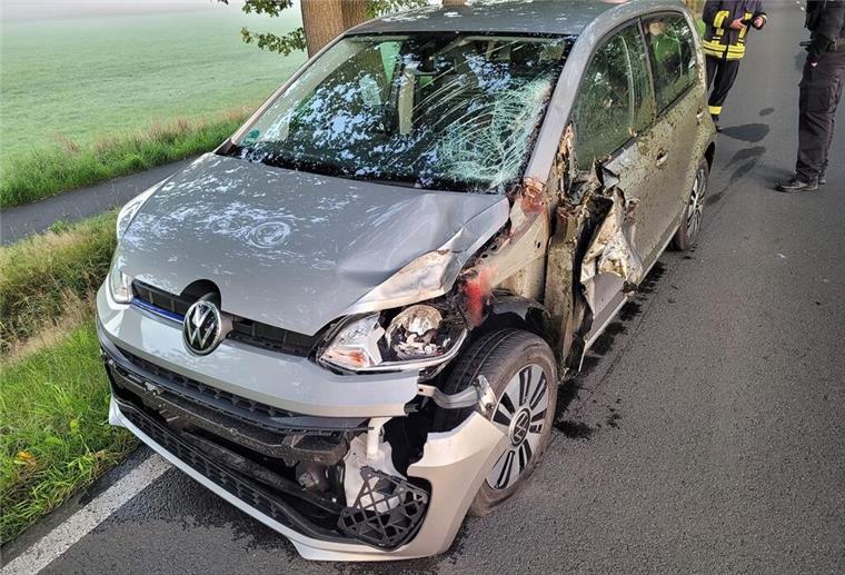 Zwei Pferde sterben bei Unfall auf B440 Der verunfallte VW war nicht mehr fahrbereit und musste abgeschleppt werden.