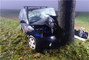 Auto an Baum