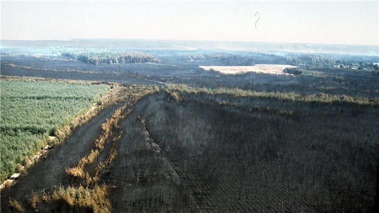 Der Waldbrand vernichtete 8.000 Hektar Bäume und 5.000 Hektar Moor und Heide mit ihrer Tier- und Pflanzenwelt. (Archivfoto)
