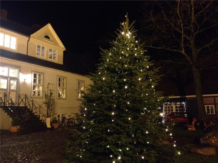 Bad Bederkesa: Weihnachtsmarkt vor ungewisser Zukunft Der Weihnachtsmarkt im Amtsgarten sorgt für Gesprächsstoff.