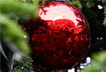 Eine rote Kugel hängt in einem Weihnachtsbaum