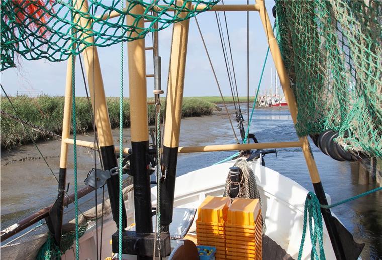 Spieka-Neufeld: Finanzspritze für Kutterhafen Der Wremer Kutterhafen: Anziehungspunkt für Einheimische und Urlauber aber auch Arbeitsplatz für Kutterfischer.