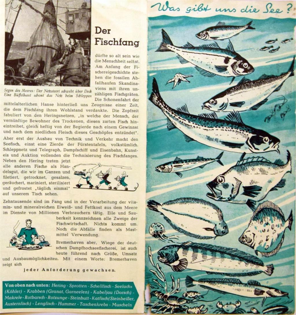 Der Zeitgeist spricht aus den Heften und Broschüren der 1950er Jahre. 