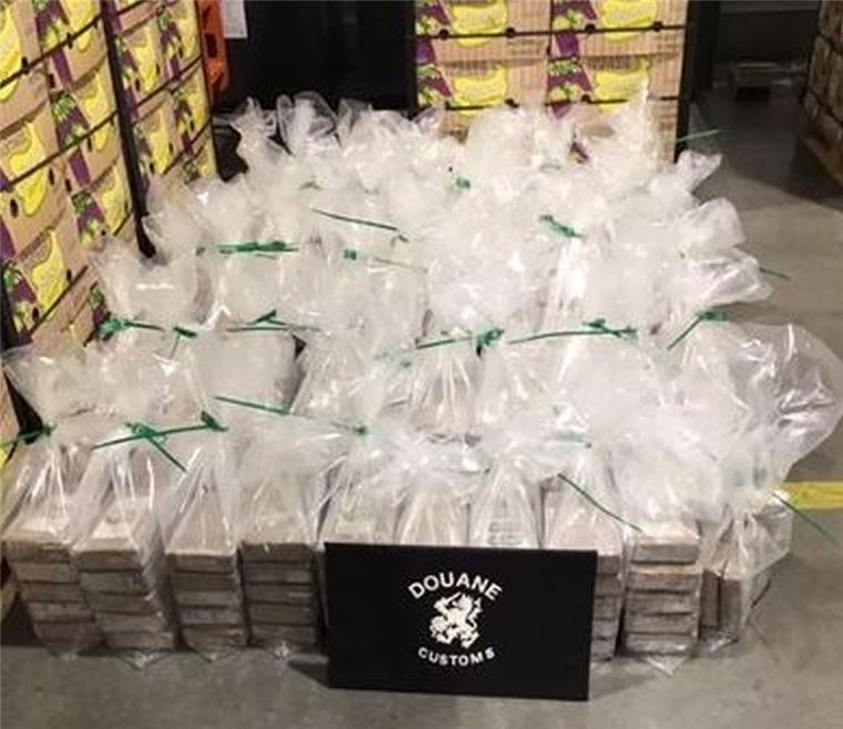 Der Zoll hat in den Niederlanden fast eine Tonne Kokain in einem Bananen-Container sichergestellt.