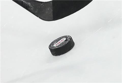 Derartige Pucks werden versteigert.
