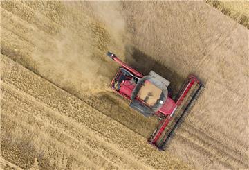 Ein Landwirt fährt mit seinem Traktor auf einem Feld.