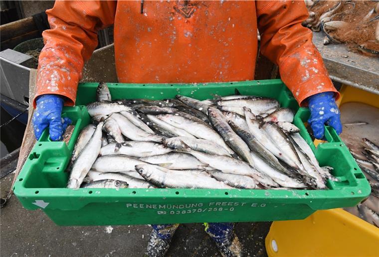 Fischfang