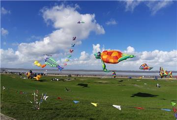 Deutschlands Drachensportler treffen sich in Dangast.
