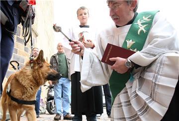 Diakon segnet Schäferhund