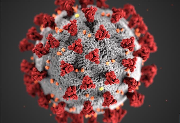 Nordenham ist landesweit Omikron-Hotspot Die 7-Tage-Inzidenz liegt in der Wesermarsch am Mittwoch bei 152,5.
