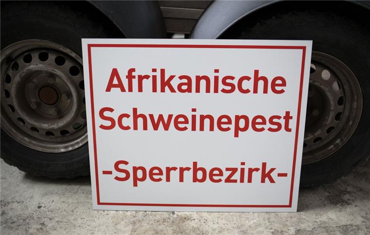 Die Afrikanische Schweinepest ist auf dem Vormarsch.