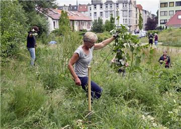 Die Aktivisten der "Zolli"-Initiative arbeiten ehrenamtlich an der Umgestaltung des Platzes zu einem naturnahen Anwohnerpark.  Foto Scheschonka