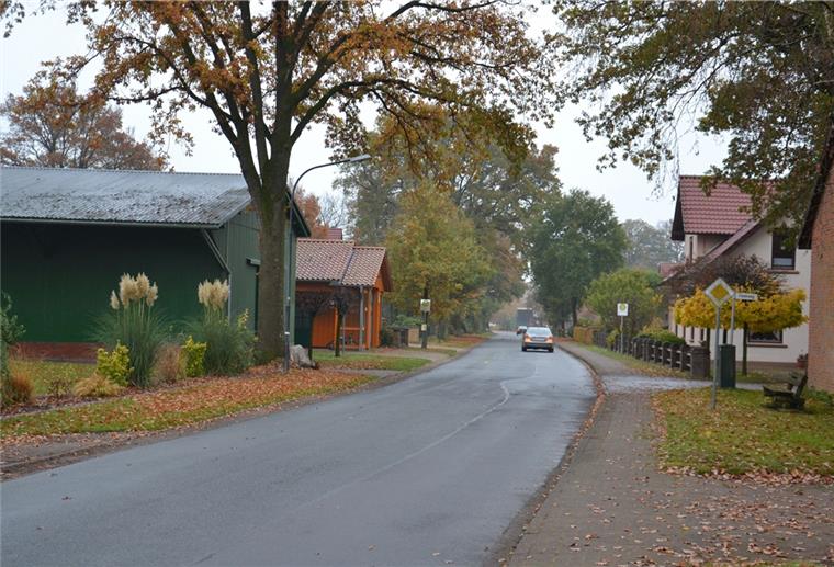 Immer mehr immer schneller durchs Dorf Die Anwohner der Elsdorfer Straße in Frankenbostel beklagen zunehmenden Verkehr, Raserei und immer mehr Lkw auf der schmalen Dorfstraße. Sie wollen die Belastung nicht länger klaglos hinnehmen und fordern den Gemeinderat zum Handeln auf.