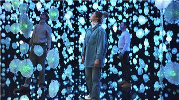 Die Ausstellung "Pixelwald Wisera" von Pippilotti Rist fasziniert als Audio-Video-Erlebnis in der Bremer Kunsthalle.