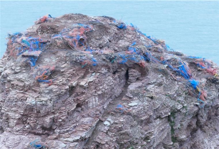 Die Auswirkungen von Meeresmüll sind vor unserer Haustür sichtbar: Die verlassen Nistplätze auf Helgoland zeigen, wie viele Vögel Meeresmüll für ihre Nester verarbeiten. Die Jungen können daran sterben.