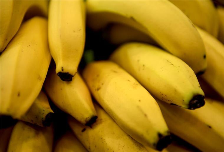 Die Banane, die es hierzulande zu kaufen gibt, ist ohnehin schon unnatürlich. Jetzt wurde die erste gentechnisch veränderte Banane entwickelt.