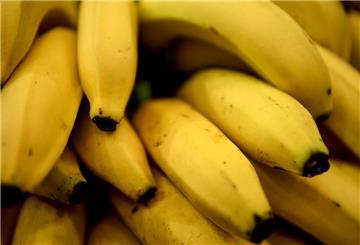 Die Banane, die es hierzulande zu kaufen gibt, ist ohnehin schon unnatürlich. Jetzt wurde die erste gentechnisch veränderte Banane entwickelt.