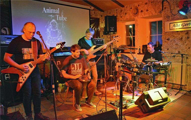 Zevener Band bringt erste Studio-CD heraus Die Band Animal Tube hat ihr erstes Studio-Album "In your Head" in Zeven vorgestellt.