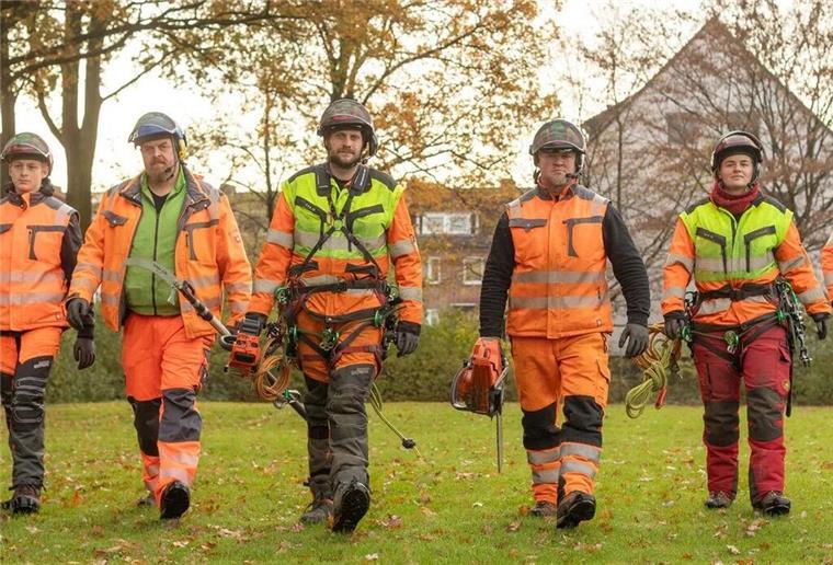 Für Baumpflege und Umweltschutz Die Baumpflegespezialisten BGS Steffen Baier und Team haben für fast jedes Baum- und Gartenproblem eine Lösung parat.privat