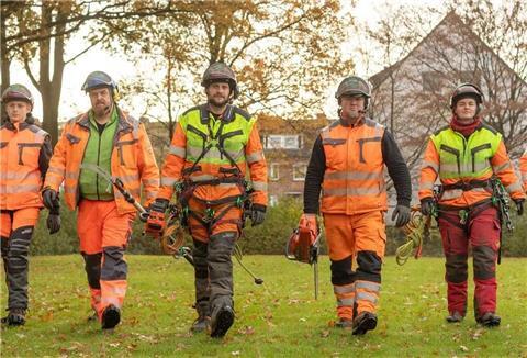 Die Baumpflegespezialisten BGS Steffen Baier und Team haben für fast jedes Baum- und Gartenproblem eine Lösung parat.privat