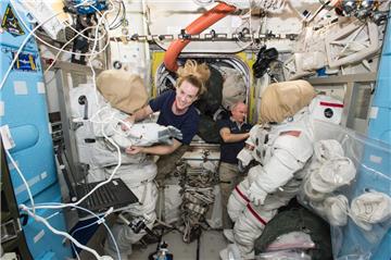 Die beiden Astronauten Kate Rubins und Jeff Williams  haben an der internationalen Raumstation ISS erfolgreich einen Raumspaziergang absolviert, um eine Andockstation zu installieren.