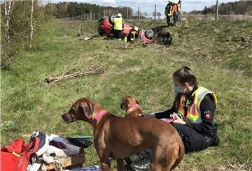 Zwei aus einem Unfallwagen geborgene Hundedamen werden neben der Autobahn von einer Polizistin betreut