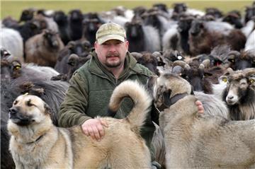 Die beiden Herdenschutzhunde Debbie und Cooper haben eine wichtige Aufgabe: Sie sollen die Heidenschnucken-Schafherde von Holger Benning vor Wölfen schützen. Das ist zugleich eine Maßnahme, die der Naturschutzbund Niedersachsen Tierhaltern im Projekt „Herdenschutz“ empfiehlt.